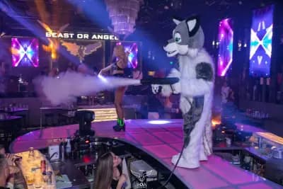 BOA - Beast or Angel Velingrad