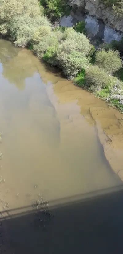 Кметство Ивáново