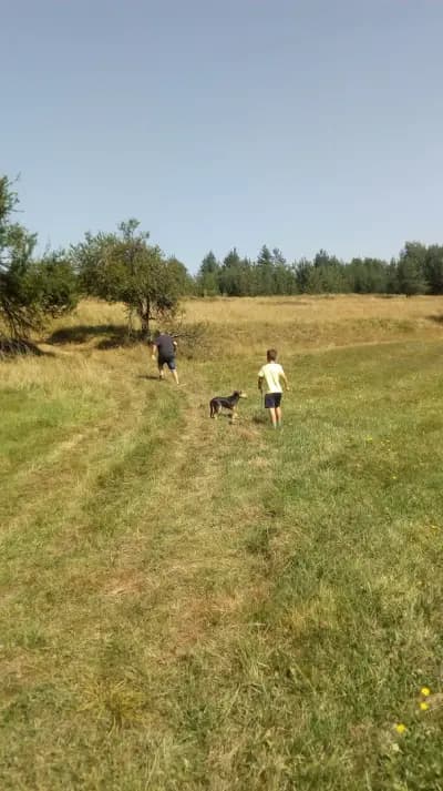 Кметство Шипочане