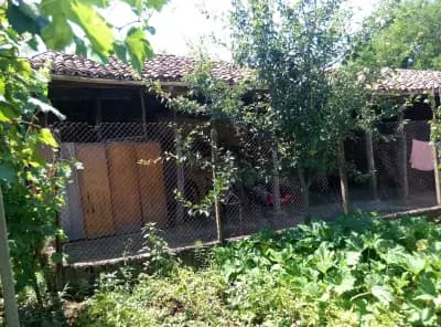 Кметство село Каранци