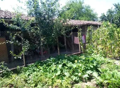 Кметство село Каранци