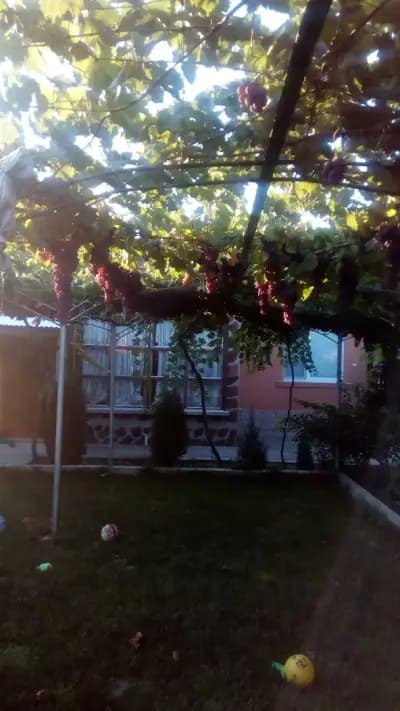 Кметство Горно Ботево