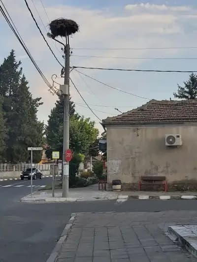 Кметство Оризаре