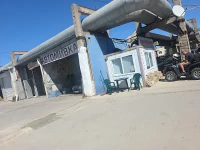 Алекс Клийнинг
