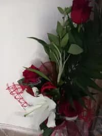 Добринка Добрева